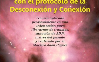 La Desconexión y Conexión