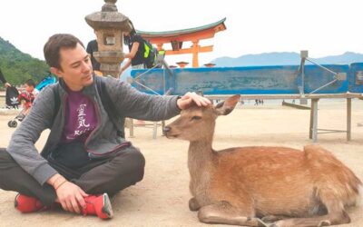 Reiki para animales