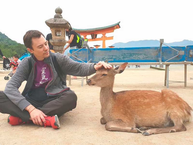 Reiki para animales